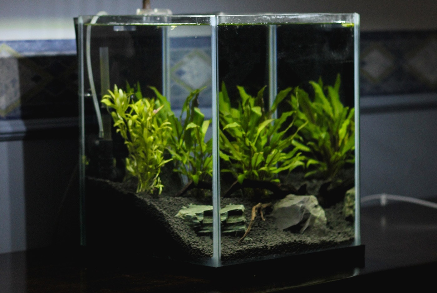 Рейтинг удобрений для аквариумных растений