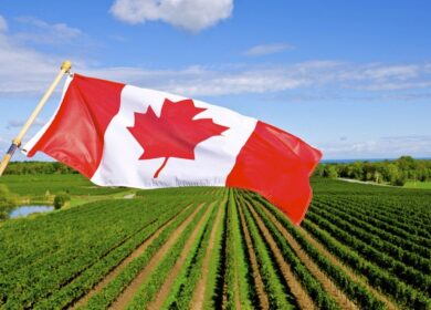 Fertilizer Canada просит обезопасить поставки