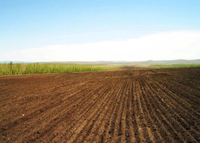 В Башкортостане растут запасы агрохимикатов