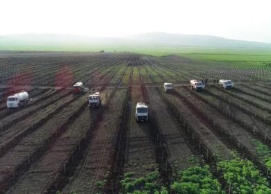 В Азербайджане полностью либерализовали рынок агрохимикатов