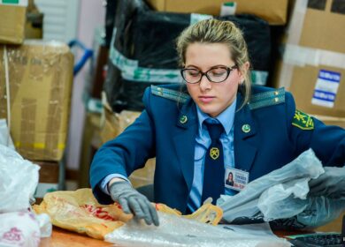 В Россию растет импорт средств защиты растений