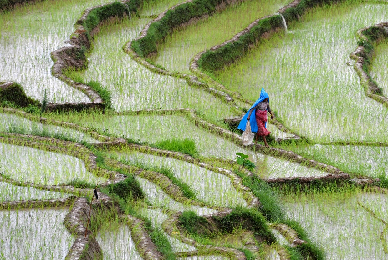 В Непале может возникнуть дефицит карбамида