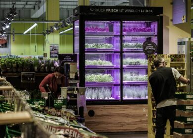 Infarm выходит на рынок Канады