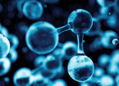 Ученые нашли способ регулировать аппетиты растений