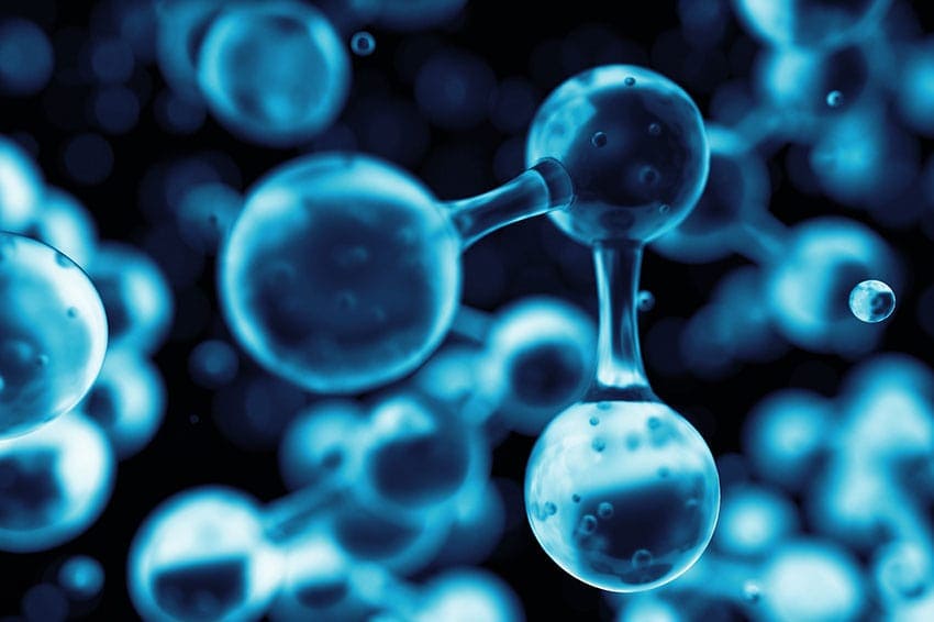 Ученые нашли способ регулировать аппетиты растений