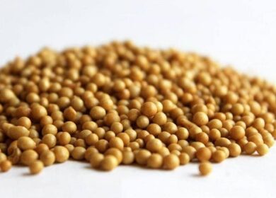 Описание и свойства удобрения «Осмокот»