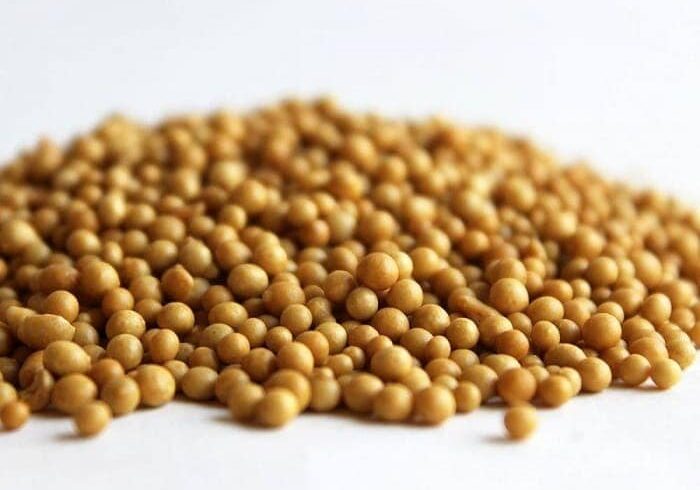 Описание и свойства удобрения «Осмокот»