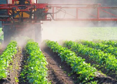 В России выросло производство средств защиты растений