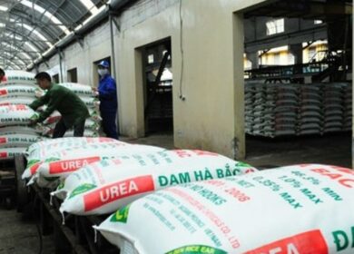 Vinachem несет убытки