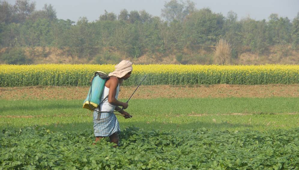 Индия запретит особо опасные пестициды