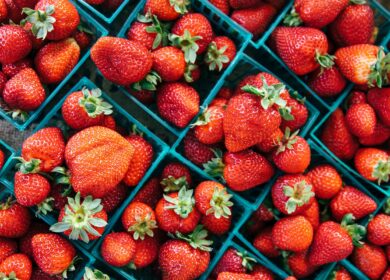 В Московской области построят клубничный комплекс