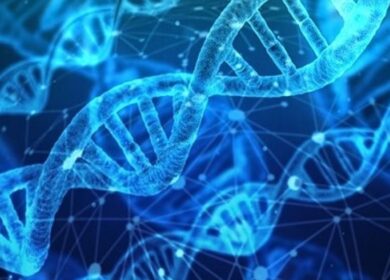 В США создан метод анализа RNAi-пестицидов в почве