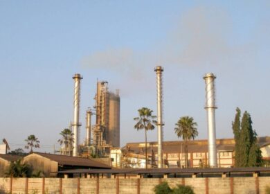 Deepak Fertilizers and Petrochemicals возвращается к нормальной жизни