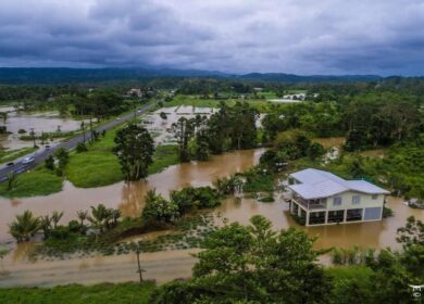 В Индии скакнули продажи удобрений