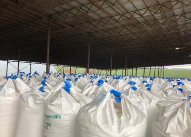 Потребление агрохимикатов в России может составить 3,8 млн. тонн