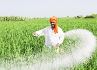 Продажи агрохимикатов в Индии почти удвоились