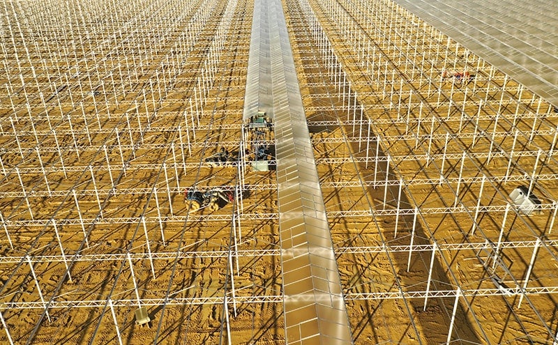 AppHarvest осенью откроет крупнейшую в США теплицу