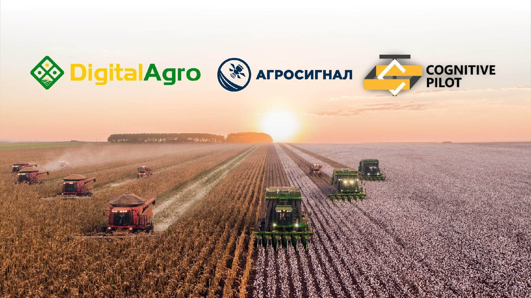 Digital Agro, «Агросигнал» и Cognitive Pilot цифровизируют сельское хозяйство