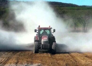 В России хотят ускорить известкование кислых почв