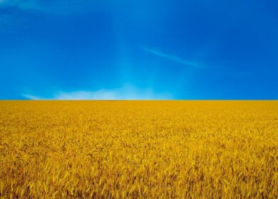 Ecofol планирует экспансию на рынок Украины