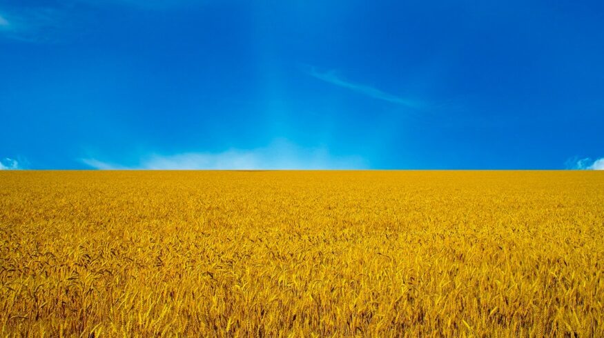 Ecofol планирует экспансию на рынок Украины