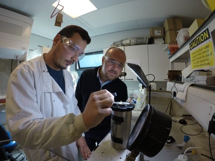 Israel Chemicals вложится в фитофизиологию