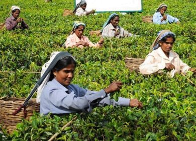 Президент Шри-Ланки призвал перейти на органические удобрения