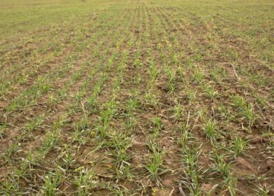 «ФосАгро» и РАН провели совместную конференцию