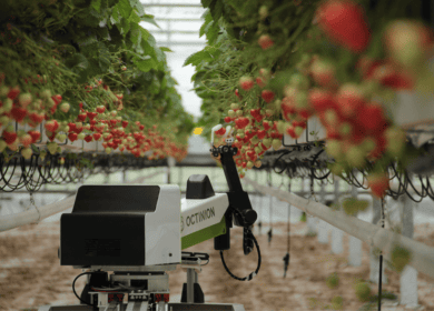 Великобритания вложится в хай-тек