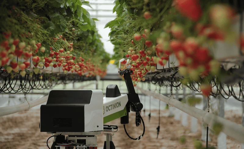 Великобритания вложится в хай-тек