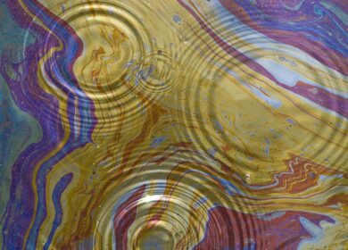 Березниковский «Азот» обратился в надзорные органы по поводу загрязнения Камы