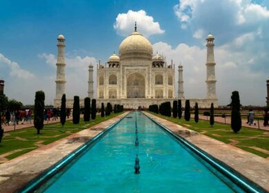 Продажи агрохимикатов в Индии скакнули на 83%