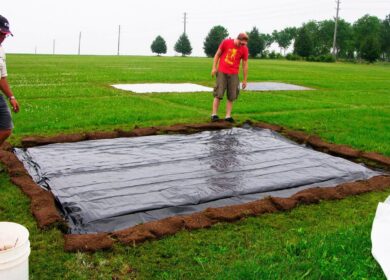 Ученые выявили роль органического азота