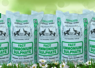 Fertilizers and Chemicals Travancore поставила рекорд