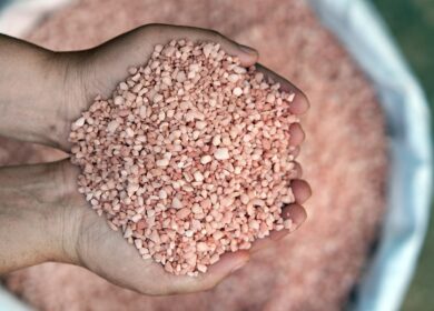 Canpotex зафиксировал продажи до октября