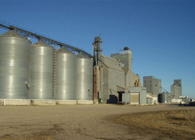 Brandt покупает Morton Fertilizer