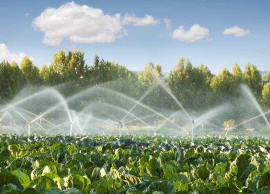 На мелиорацию в России потрачено почти 1,9 млрд. руб.