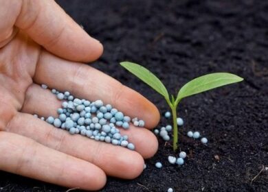 Производство азотных удобрений и тормозится, и растет