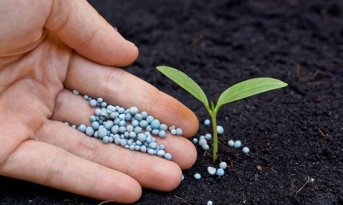 Производство азотных удобрений и тормозится, и растет