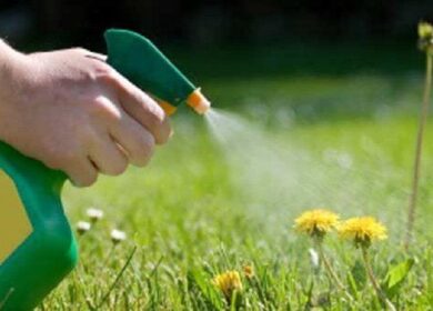 Globachem инвестирует в биогербициды