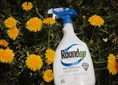 Ученые нашли глифосат там, где не ожидали