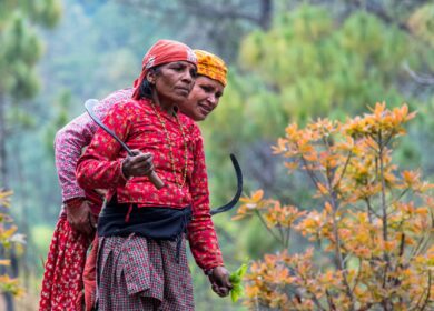 В Непале растет проблема нехватки удобрений