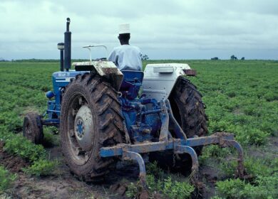 Нигерия решила поддержать аграриев