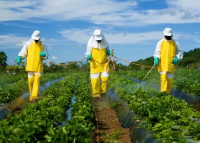 Выпуск пестицидов в России не слабеет