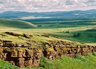 В Хакасии хотят выпускать органические удобрения