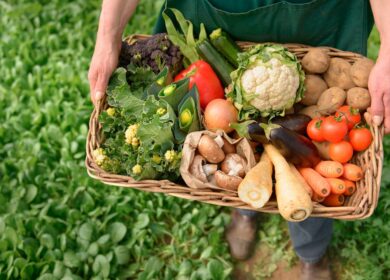 Развитие органического земледелия сдерживают трудности