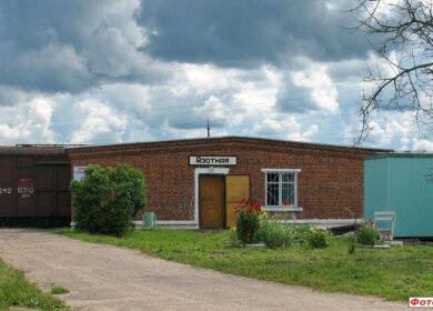 РЖД будет судиться с «Дорогобужем» из-за путей