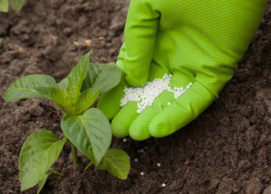 Закупки агрохимикатов в России могут достигнуть 8 млн. тонн