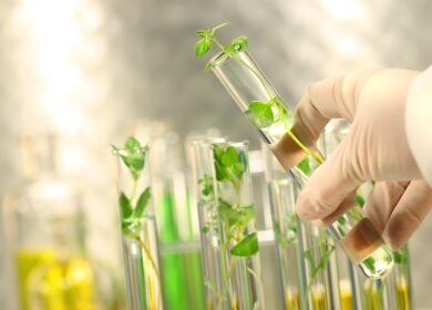 Biotalys получила грант для разработки биопестицидов