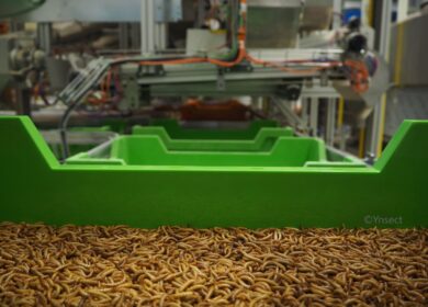 Ÿnsect нашла инвесторов